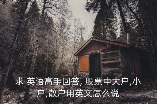 求 英語(yǔ)高手回答, 股票中大戶,小戶,散戶用英文怎么說(shuō)