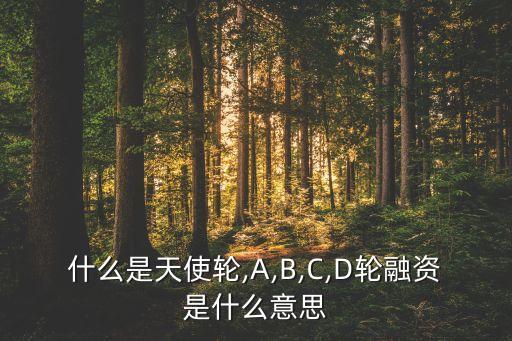 a輪b輪屬于風(fēng)險投資嗎,以下不屬于風(fēng)險投資特征的是