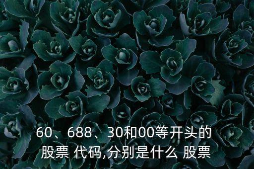 60、688、30和00等開頭的 股票 代碼,分別是什么 股票