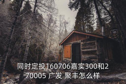 同時定投160706嘉實300和270005 廣發(fā) 聚豐怎么樣