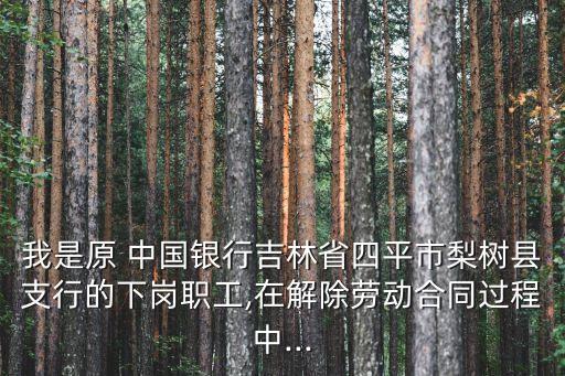 我是原 中國(guó)銀行吉林省四平市梨樹縣支行的下崗職工,在解除勞動(dòng)合同過程中...