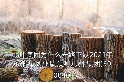 九洲 集團(tuán)為什么一路下跌2021年九洲 集團(tuán)業(yè)績預(yù)測九洲 集團(tuán)(300040