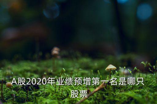 A股2020年業(yè)績預(yù)增第一名是哪只 股票