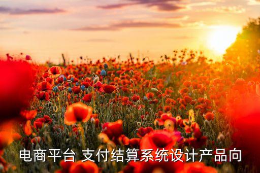 電商平臺 支付結(jié)算系統(tǒng)設(shè)計產(chǎn)品向