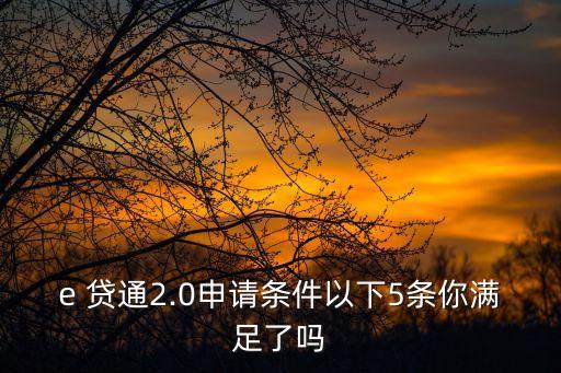 e 貸通2.0申請(qǐng)條件以下5條你滿足了嗎