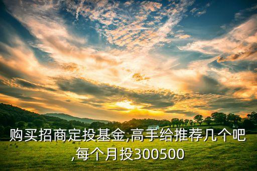 購(gòu)買招商定投基金,高手給推薦幾個(gè)吧,每個(gè)月投300500