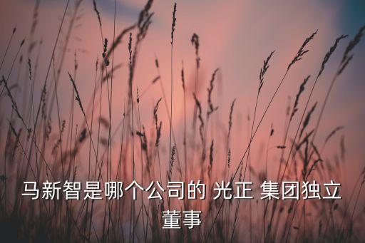 馬新智是哪個(gè)公司的 光正 集團(tuán)獨(dú)立董事