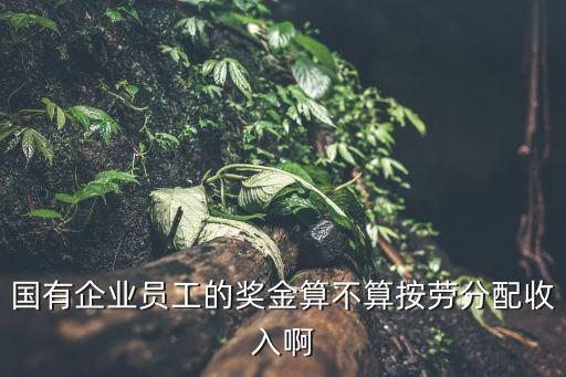 國(guó)有企業(yè)員工的獎(jiǎng)金算不算按勞分配收入啊