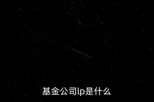 基金公司lp是什么