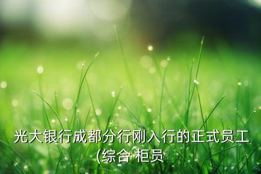  光大銀行成都分行剛?cè)胄械恼絾T工(綜合 柜員