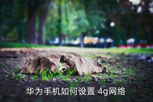 華為手機如何設置 4g網(wǎng)絡