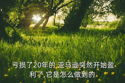  虧損了20年的 亞馬遜突然開始盈利了,它是怎么做到的