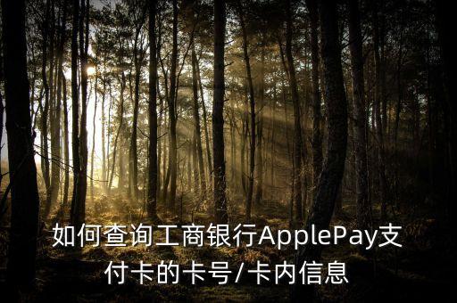 如何查詢工商銀行ApplePay支付卡的卡號(hào)/卡內(nèi)信息