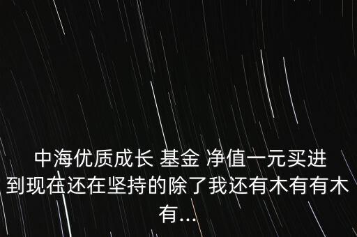  中海優(yōu)質成長 基金 凈值一元買進到現在還在堅持的除了我還有木有有木有...