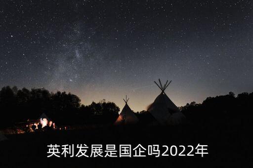  英利發(fā)展是國(guó)企嗎2022年