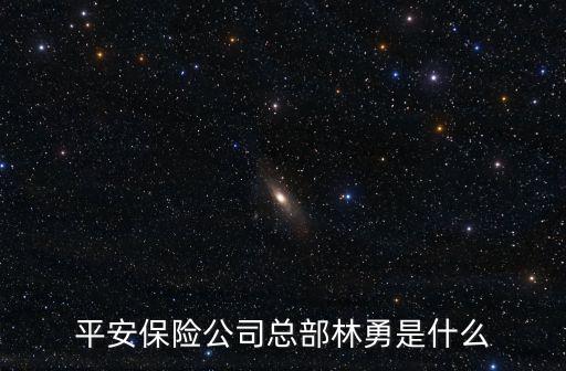 上海平安保險公司總部林勇是什么