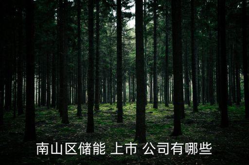 南山區(qū)儲(chǔ)能 上市 公司有哪些