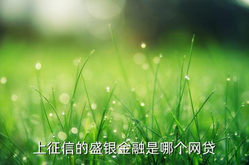 上征信的盛銀金融是哪個網貸