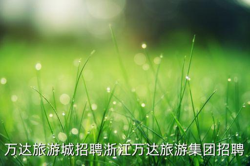 中國華信能源有限公司