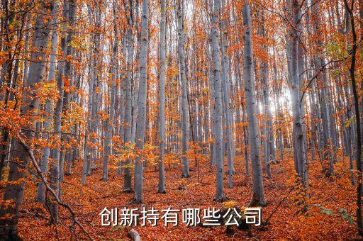 紅塔創(chuàng)新持有哪些公司