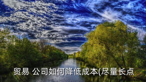  貿(mào)易 公司如何降低成本(盡量長點