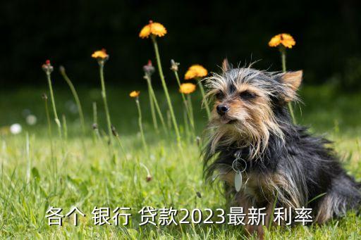 各個(gè) 銀行 貸款2023最新 利率