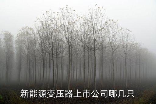 新能源變壓器上市公司哪幾只