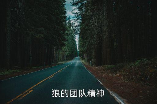 狼的團(tuán)隊精神