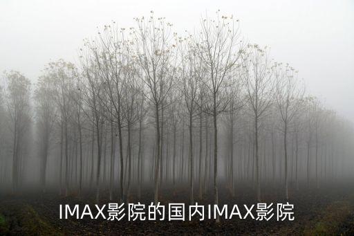 imax中國(guó)有多少,IMax中國(guó)