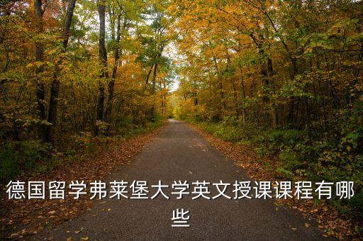 德國(guó)留學(xué)弗萊堡大學(xué)英文授課課程有哪些