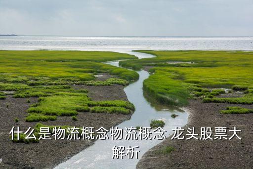 什么是物流概念物流概念 龍頭股票大解析