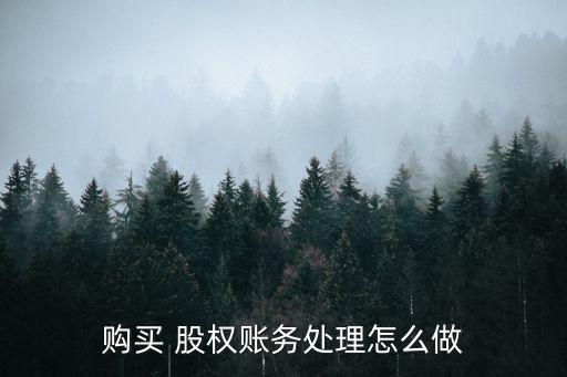 購買 股權賬務處理怎么做