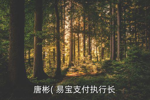 北京易寶金融公司