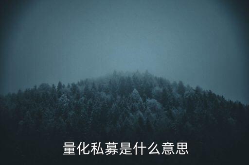  量化私募是什么意思