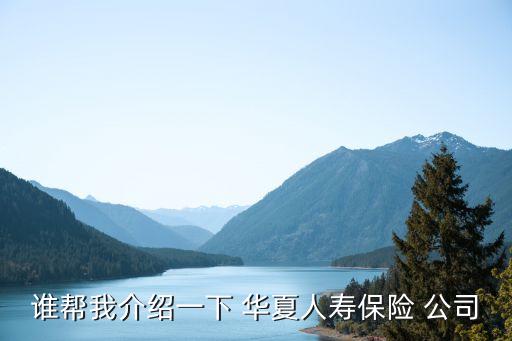 誰幫我介紹一下 華夏人壽保險 公司