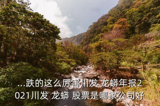 ...跌的這么厲害川發(fā) 龍蟒年報2021川發(fā) 龍蟒 股票是哪家公司好