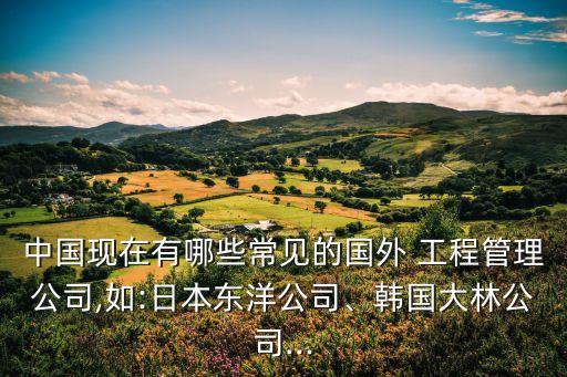 中國現(xiàn)在有哪些常見的國外 工程管理公司,如:日本東洋公司、韓國大林公司...