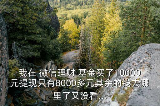 我在 微信理財(cái) 基金買(mǎi)了10000元提現(xiàn)只有8000多元其余的錢(qián)去哪里了又沒(méi)看...