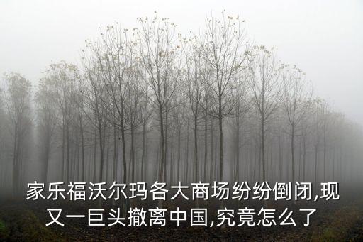 家樂福中國銷售額,無錫家樂福銷售額?