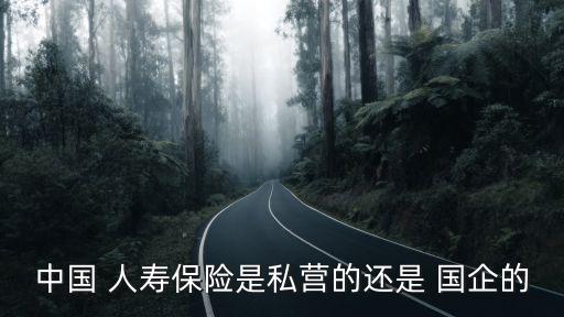 中國 人壽保險(xiǎn)是私營的還是 國企的