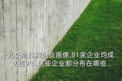 北交所掛牌企業(yè)畫像,81家企業(yè)均成立超9年,這些企業(yè)都分布在哪些...