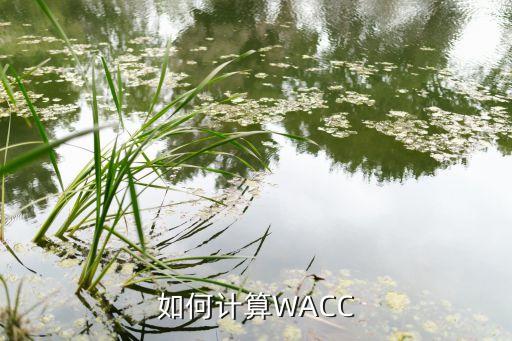 如何計算WACC