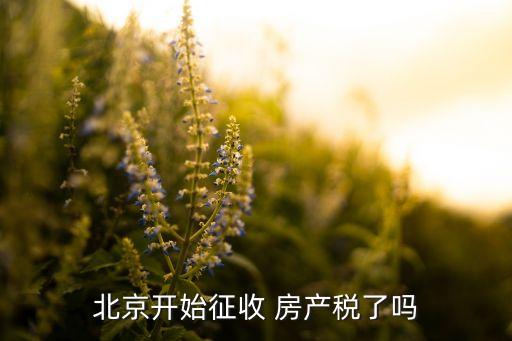 北京開始征收 房產(chǎn)稅了嗎