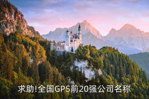 求助!全國GPS前20強(qiáng)公司名稱