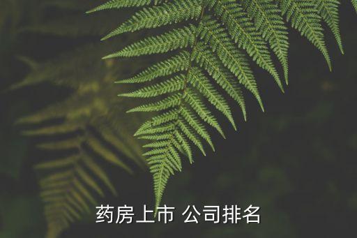 藥房上市 公司排名