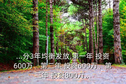 ...分3年均衡發(fā)放,第一年 投資600萬、第二年 投資600萬、第三年 投資800萬...