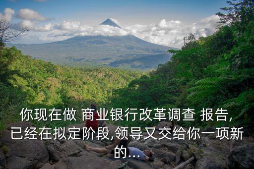 你現(xiàn)在做 商業(yè)銀行改革調(diào)查 報(bào)告,已經(jīng)在擬定階段,領(lǐng)導(dǎo)又交給你一項(xiàng)新的...