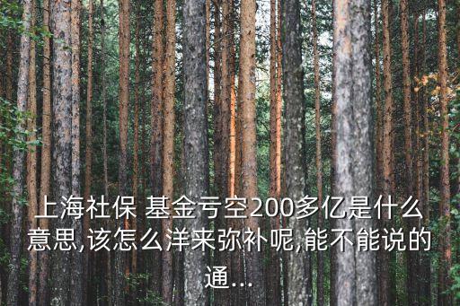 上海社保 基金虧空200多億是什么意思,該怎么洋來彌補呢,能不能說的通...