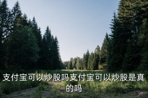 支付寶可以炒股嗎支付寶可以炒股是真的嗎