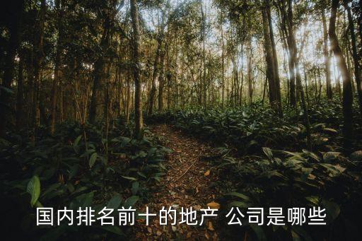 國內(nèi)排名前十的地產(chǎn) 公司是哪些